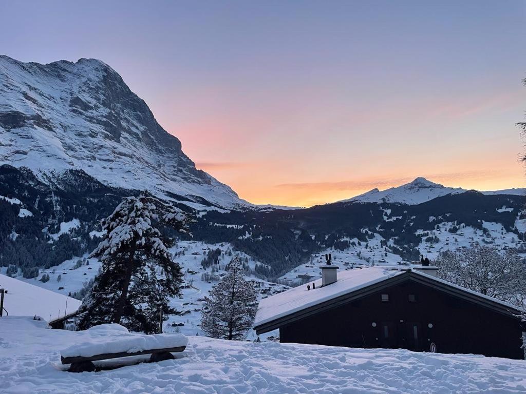 Eiger View Alpine Lodge Grindelwald Exterior foto